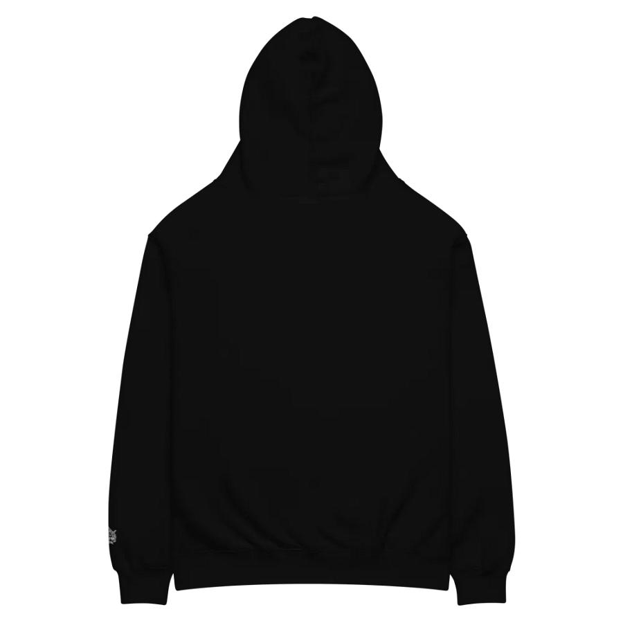 Premium Oversized Hoodie product image (5)