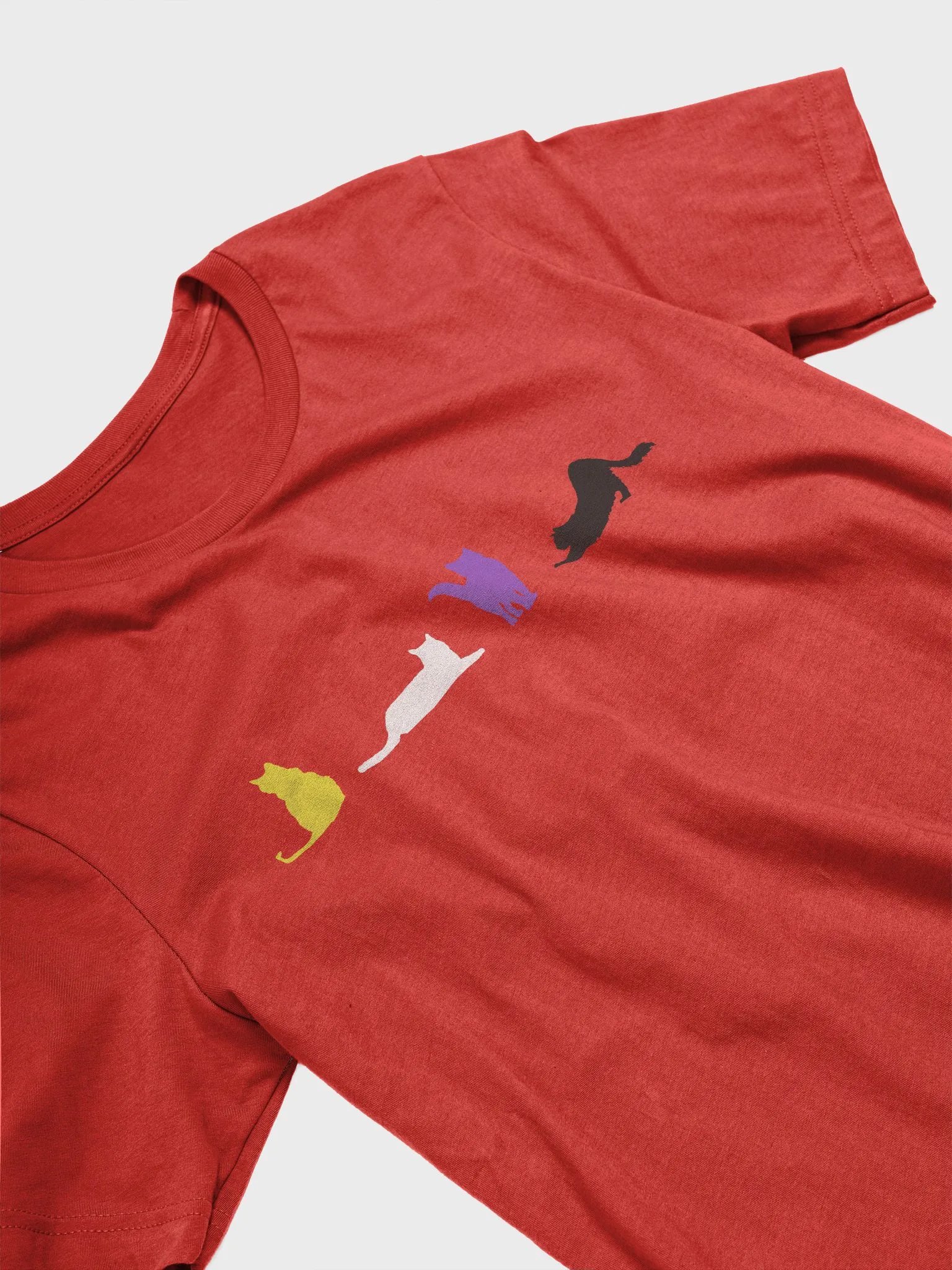 Nonbinary Pride Cats Women's Shirt product image (32)