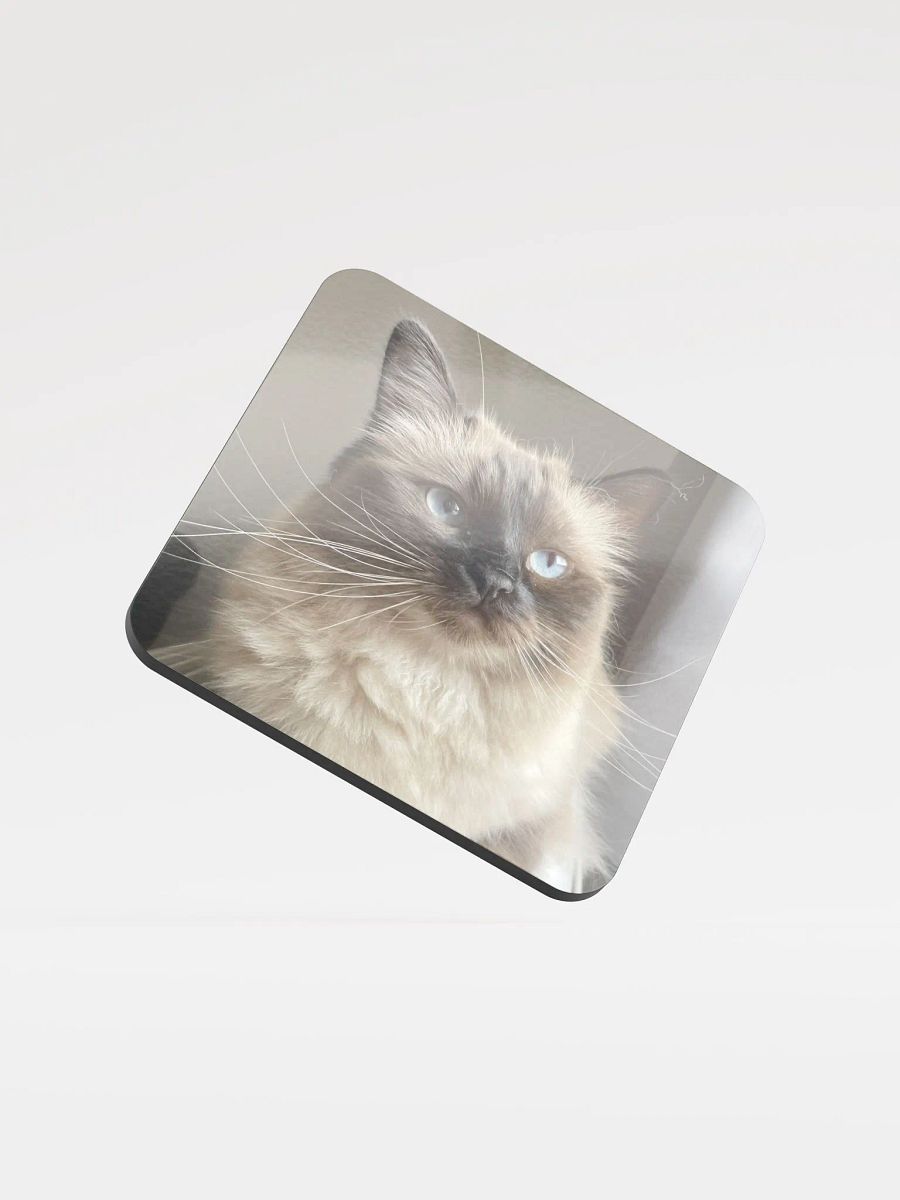 Lilith Coaster product image (1)