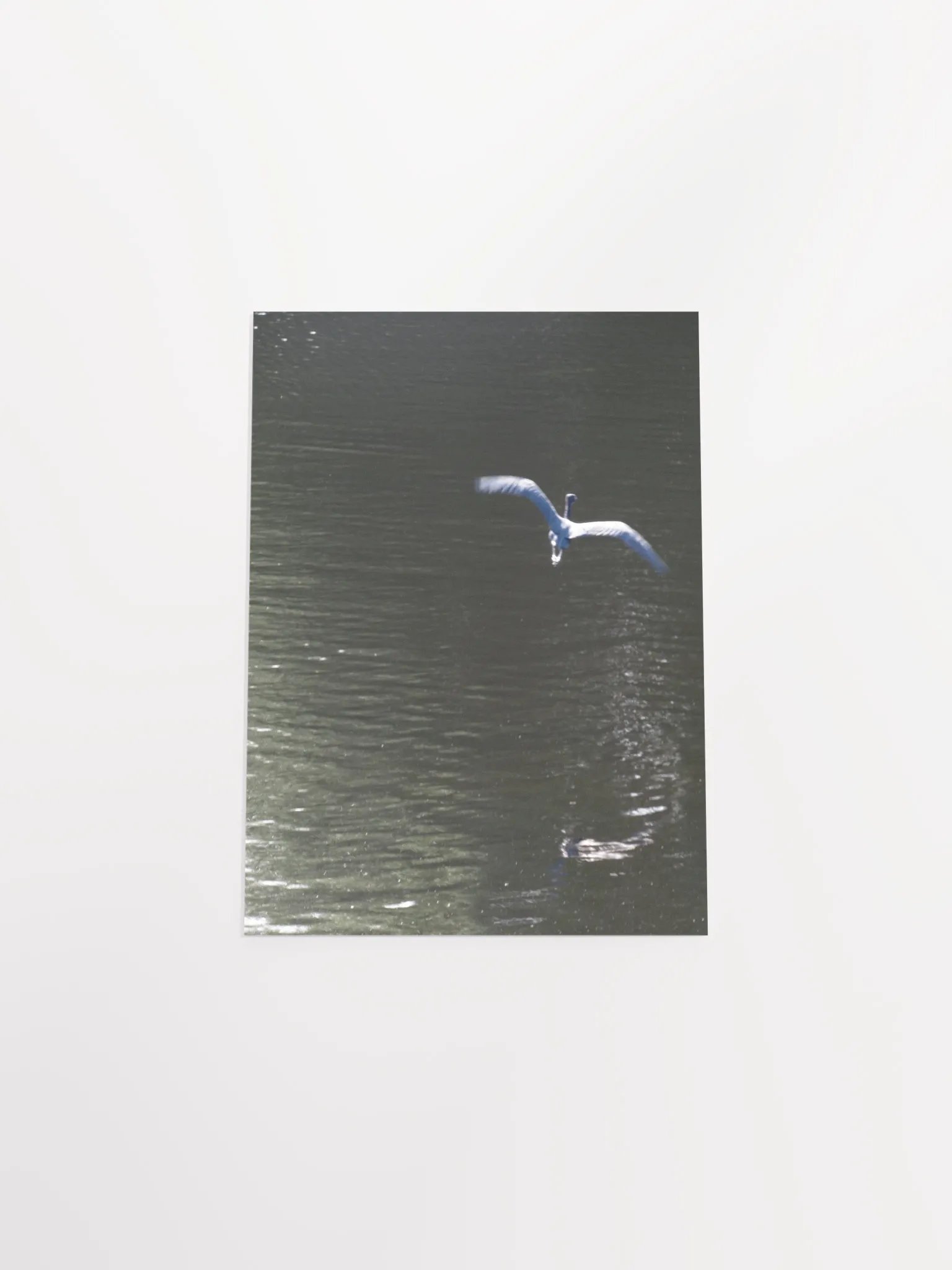 Flying Heron product image (52)