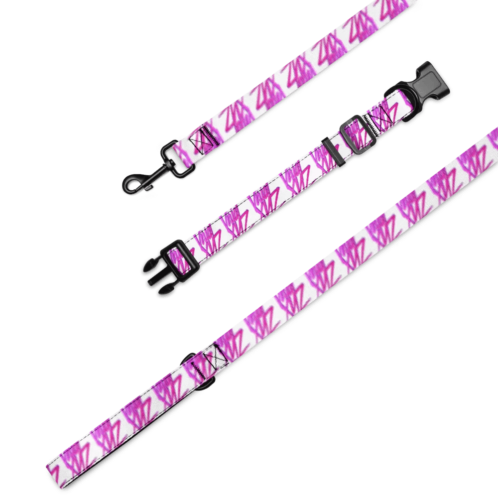 VirialXYZ Pet Collar & Leash Set product image (2)