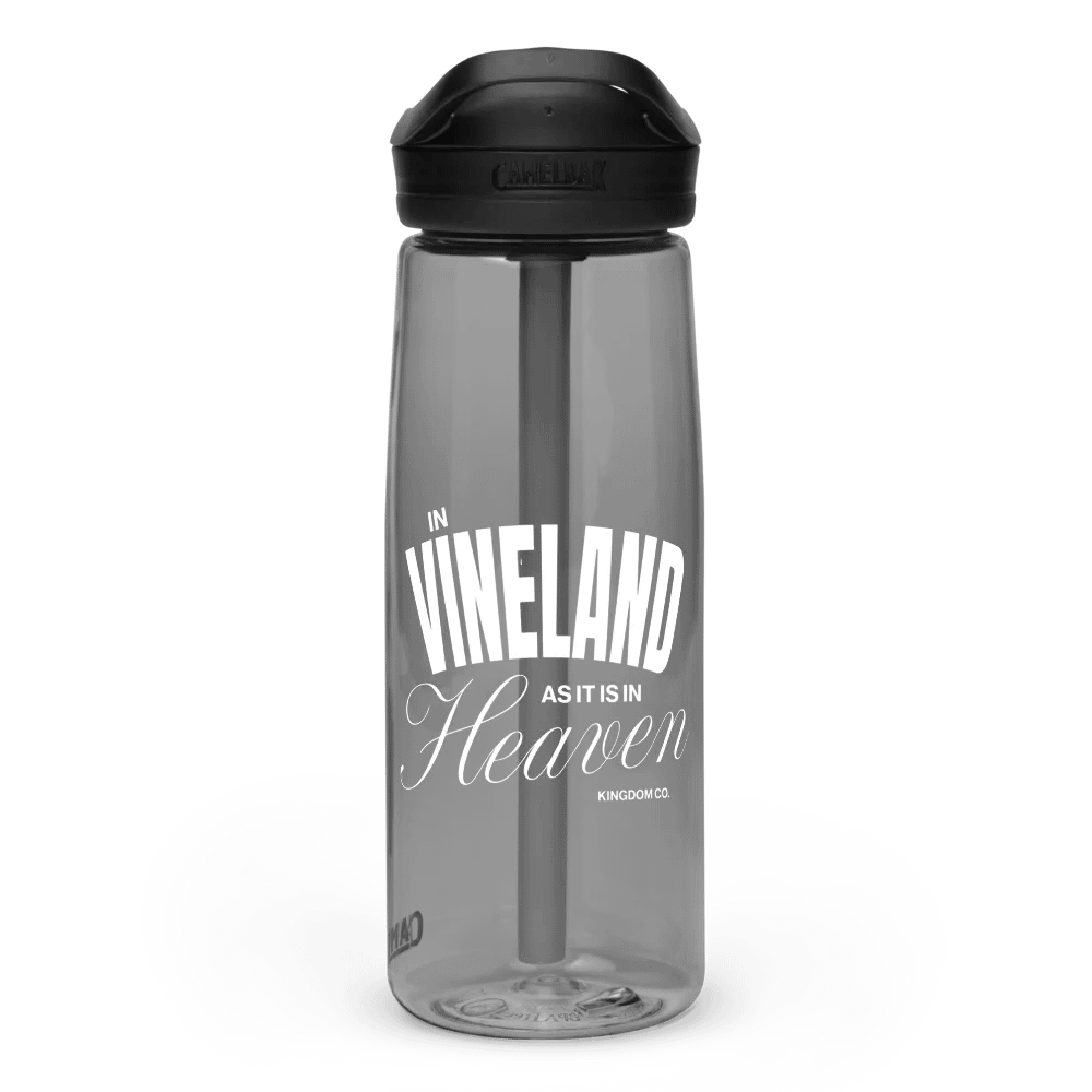 In Vineland As It Is In Heaven product image (3)