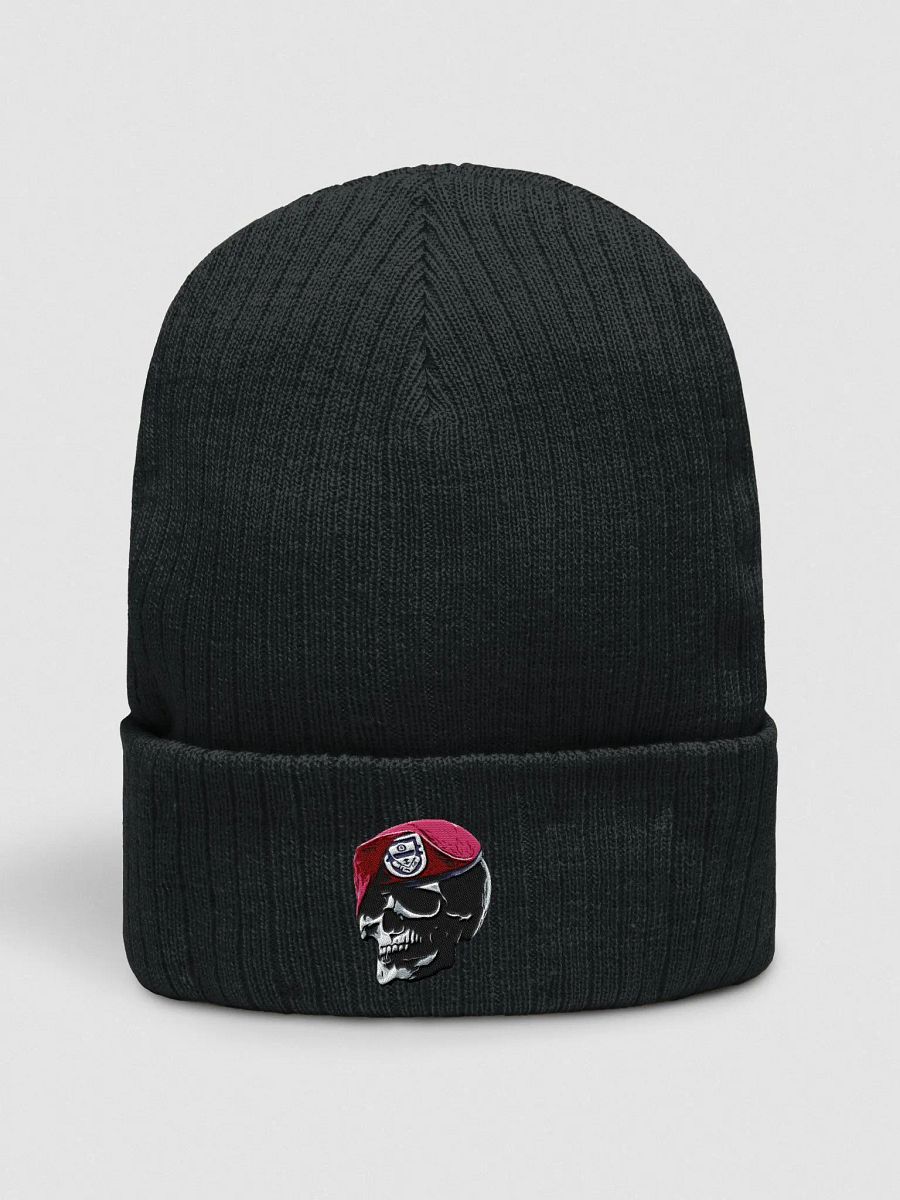 Skull Beret Beanie product image (1)