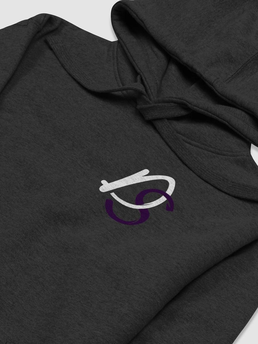 DS Hoodie product image (3)