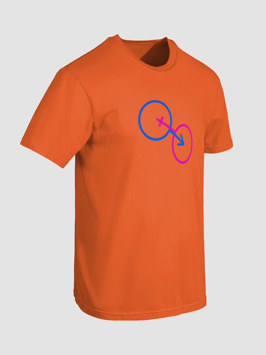 Traditional Values Fusion T-Shirt product image (7)