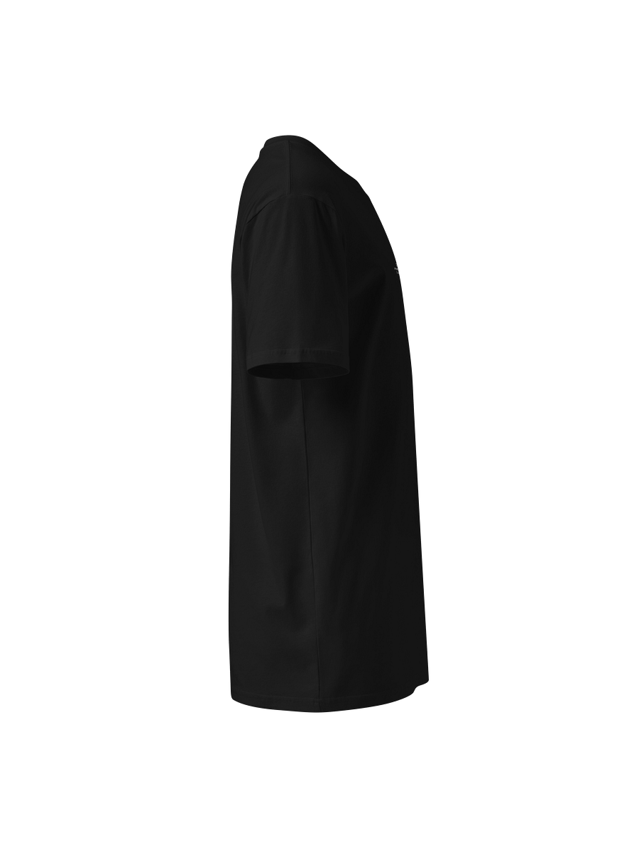 Core Collection | Heavyweight Tee product image (4)