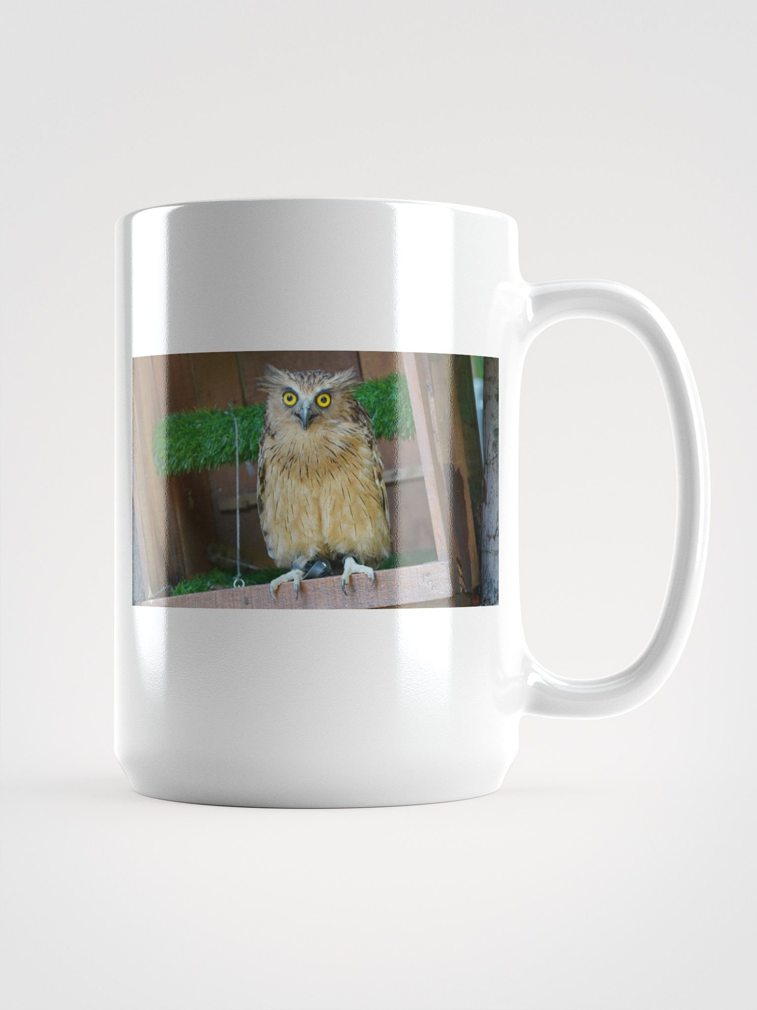 Mystic Owl White Glossy Mug product image (1)