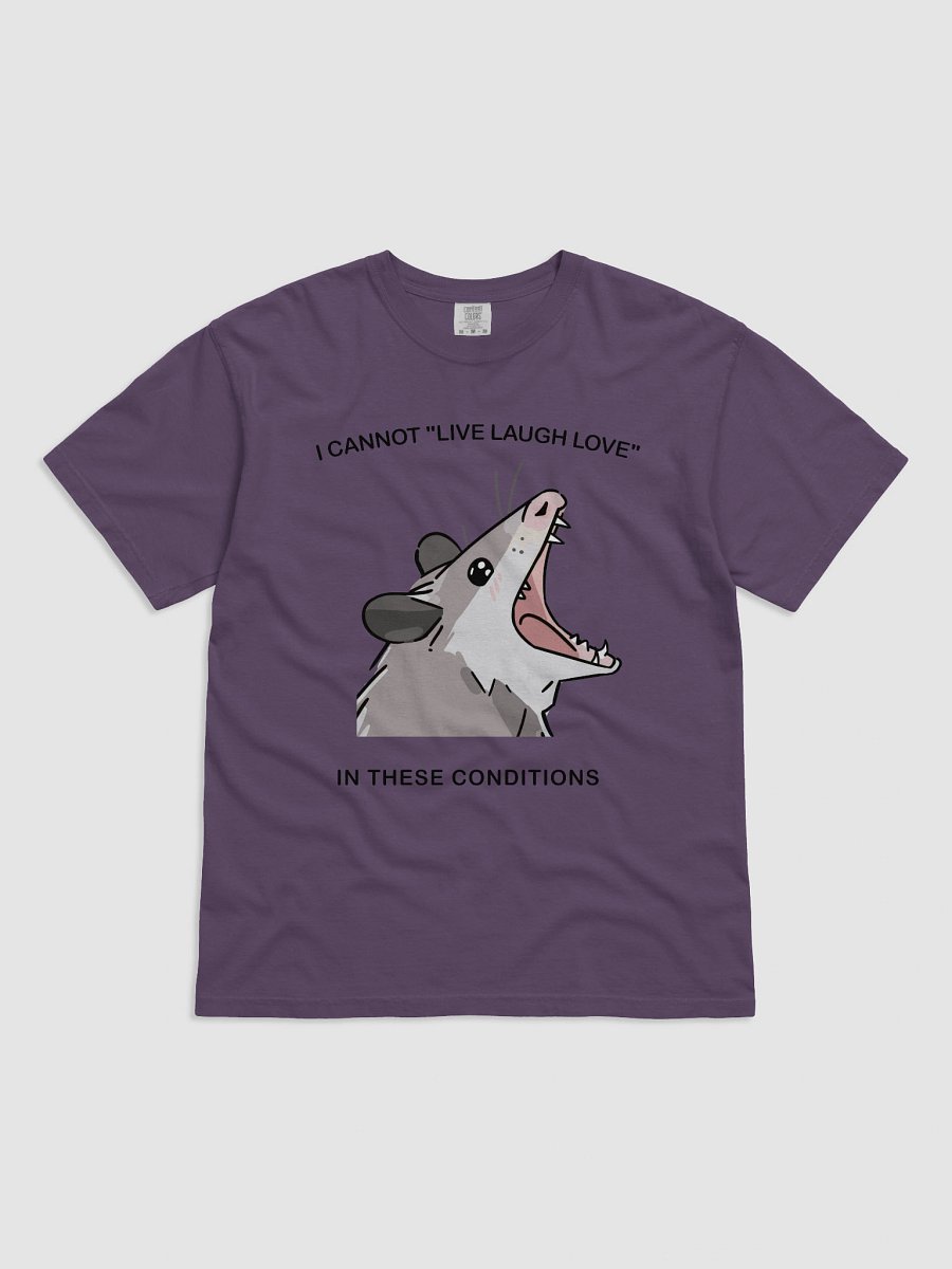Opossum "I Cannot Live Laugh Love In These Conditions" Funny T-Shirt - Unique Animal Meme Tee product image (12)