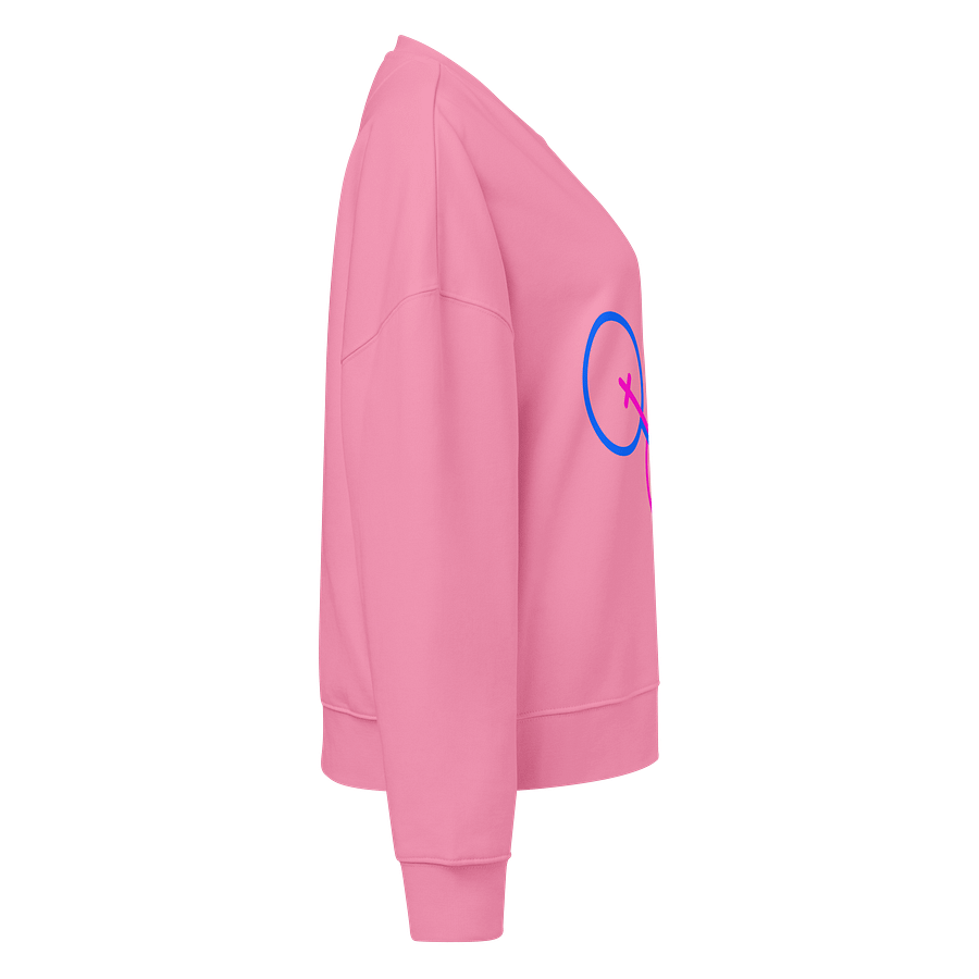 Boy & Girl Gender Norm Organic Sweatshirt product image (4)