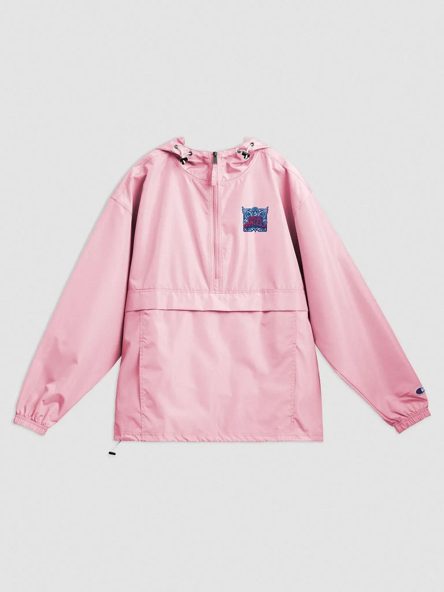 CHAMPION HODDIE SUBTLE ANGEL product image (1)