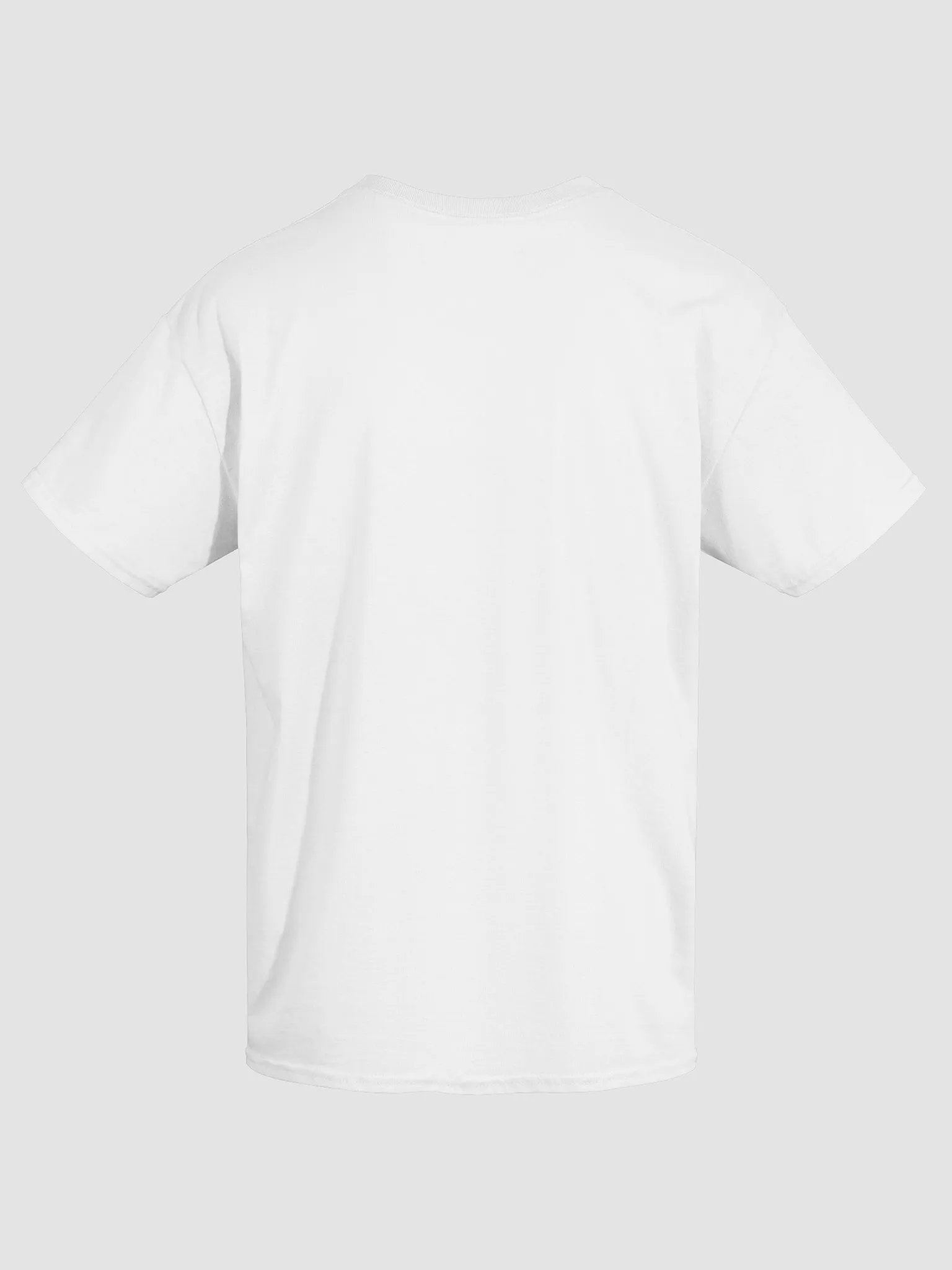 HYSTM Propaganda Tee (Turkish Variant) product image (4)