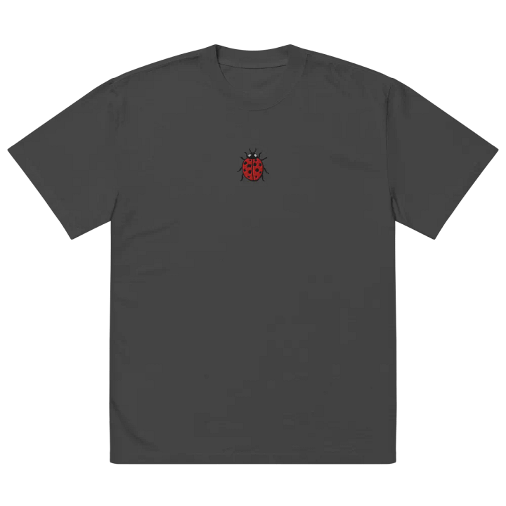 Ladybug Love Oversized Tee product image (2)