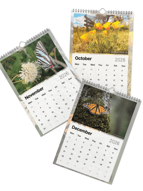 2026 Wall Calendar product image (5)