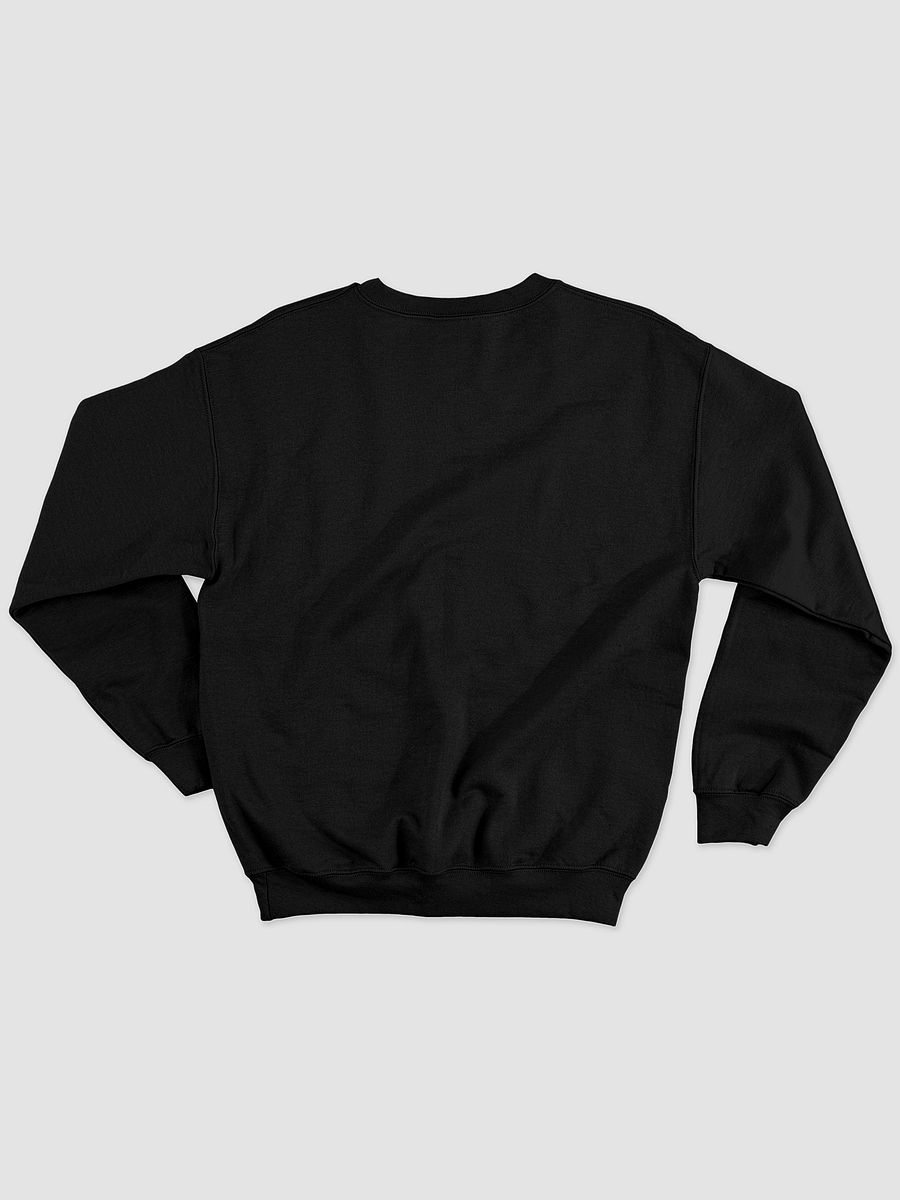 AGC Athletics Sports Crewneck in Black product image (2)
