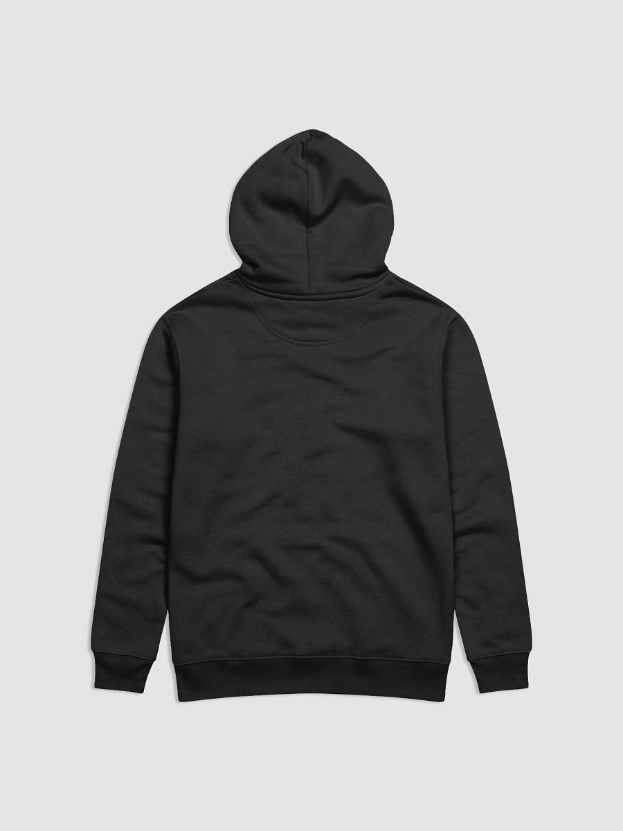 4 Fiddles Hoodie - Green/Blue product image (4)