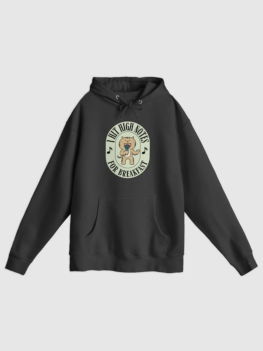 I Hit High Notes For Breakfast - Funny Hoodie For Singers product image (2)