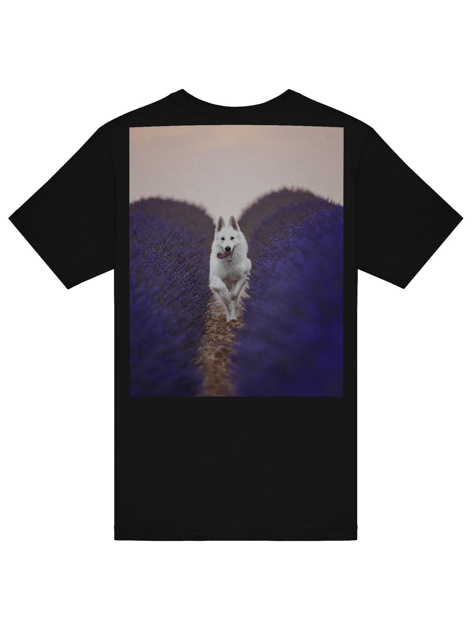 Rasta in the lavender fields product image (28)