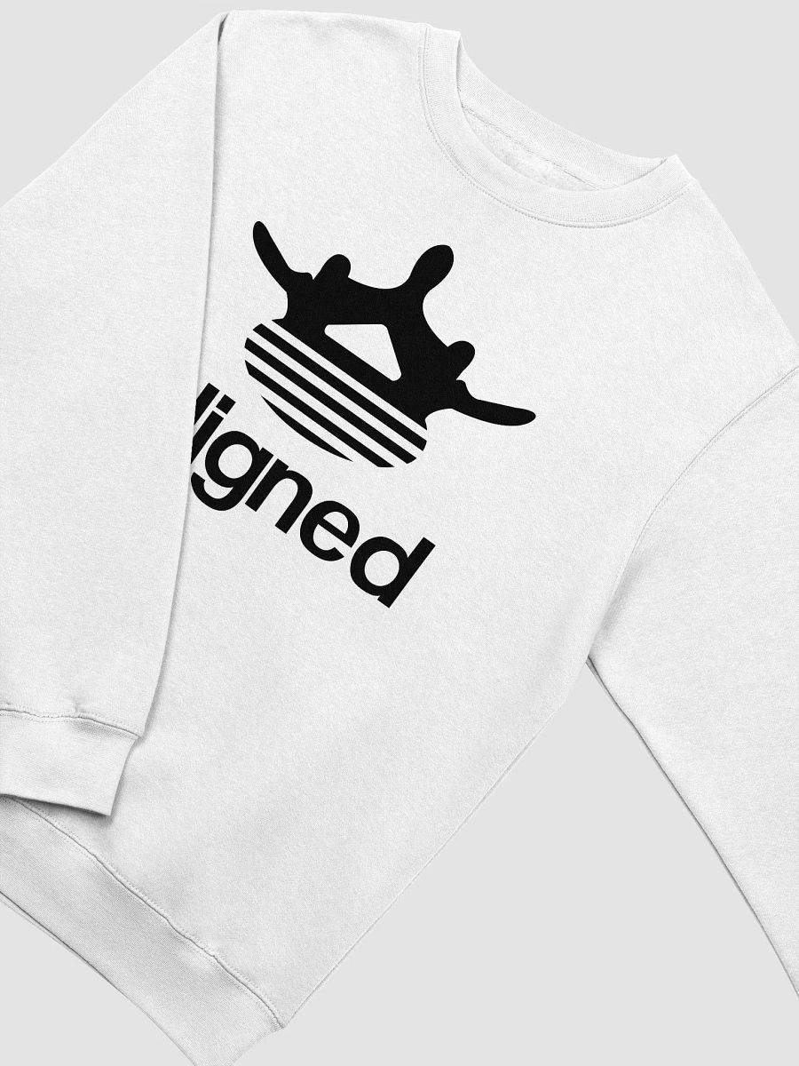 Aligned Sweatshirt product image (3)