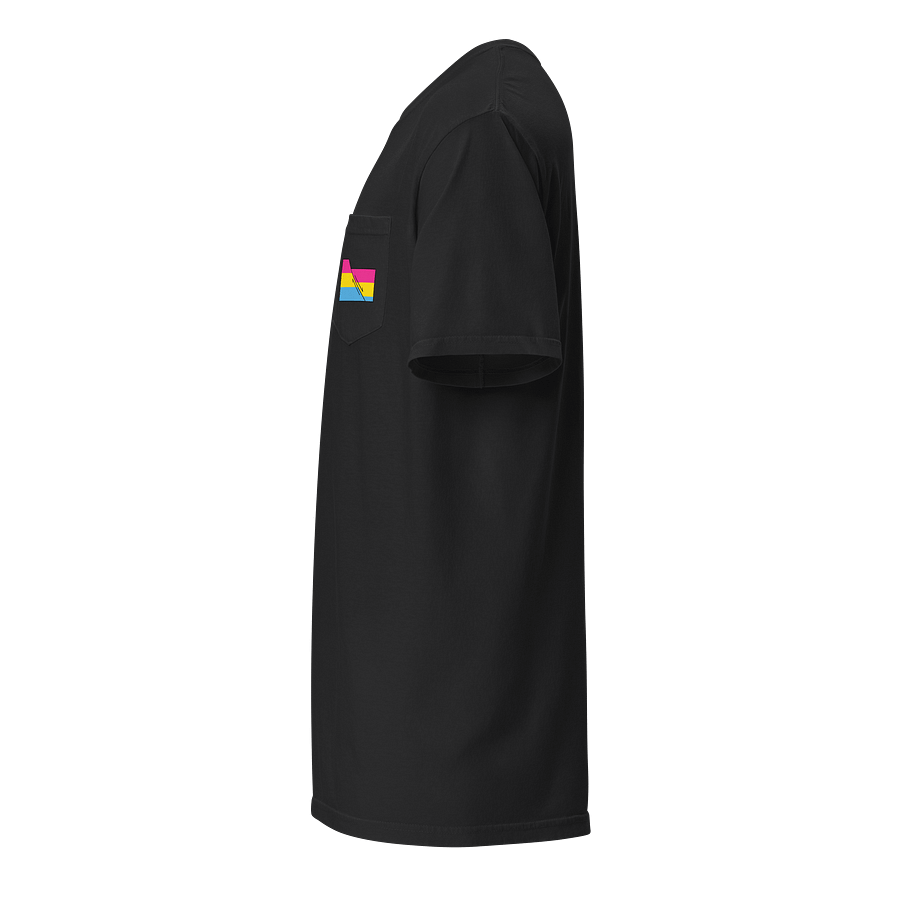 Faulted Pride Flags- Pan Shirt product image (3)