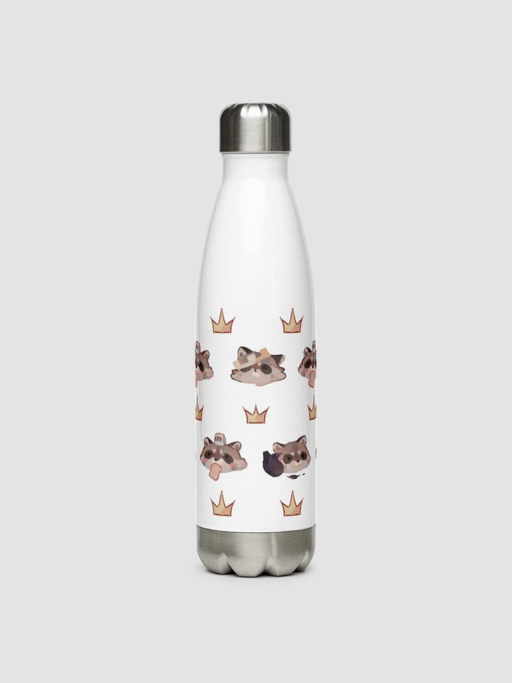 Stainless Steel Water Bottle product image (1)