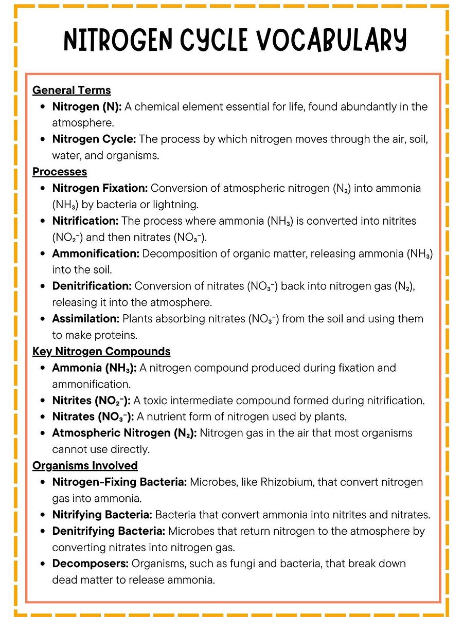 Nitrogen Cycle Vocabulary List with Definitions product image (1)