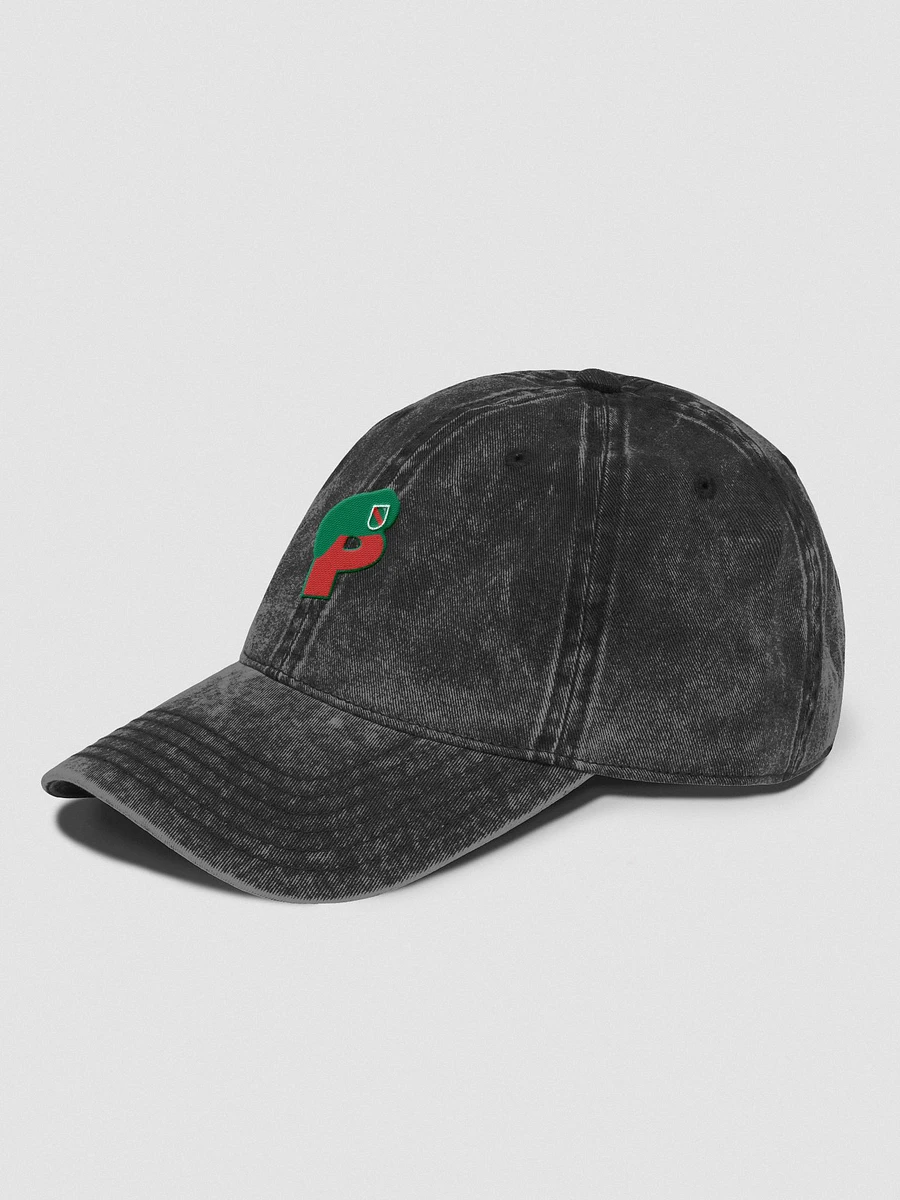 Popp Logo (Vintage Hat) product image (3)