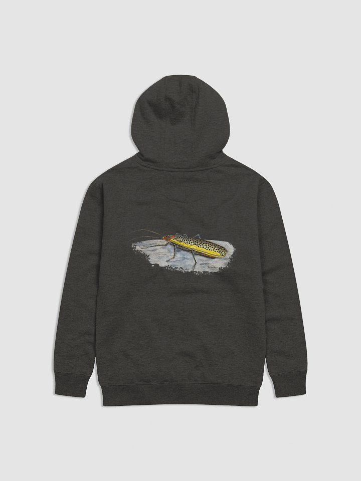 Brown Trout Stonefly Hoodie product image (1)