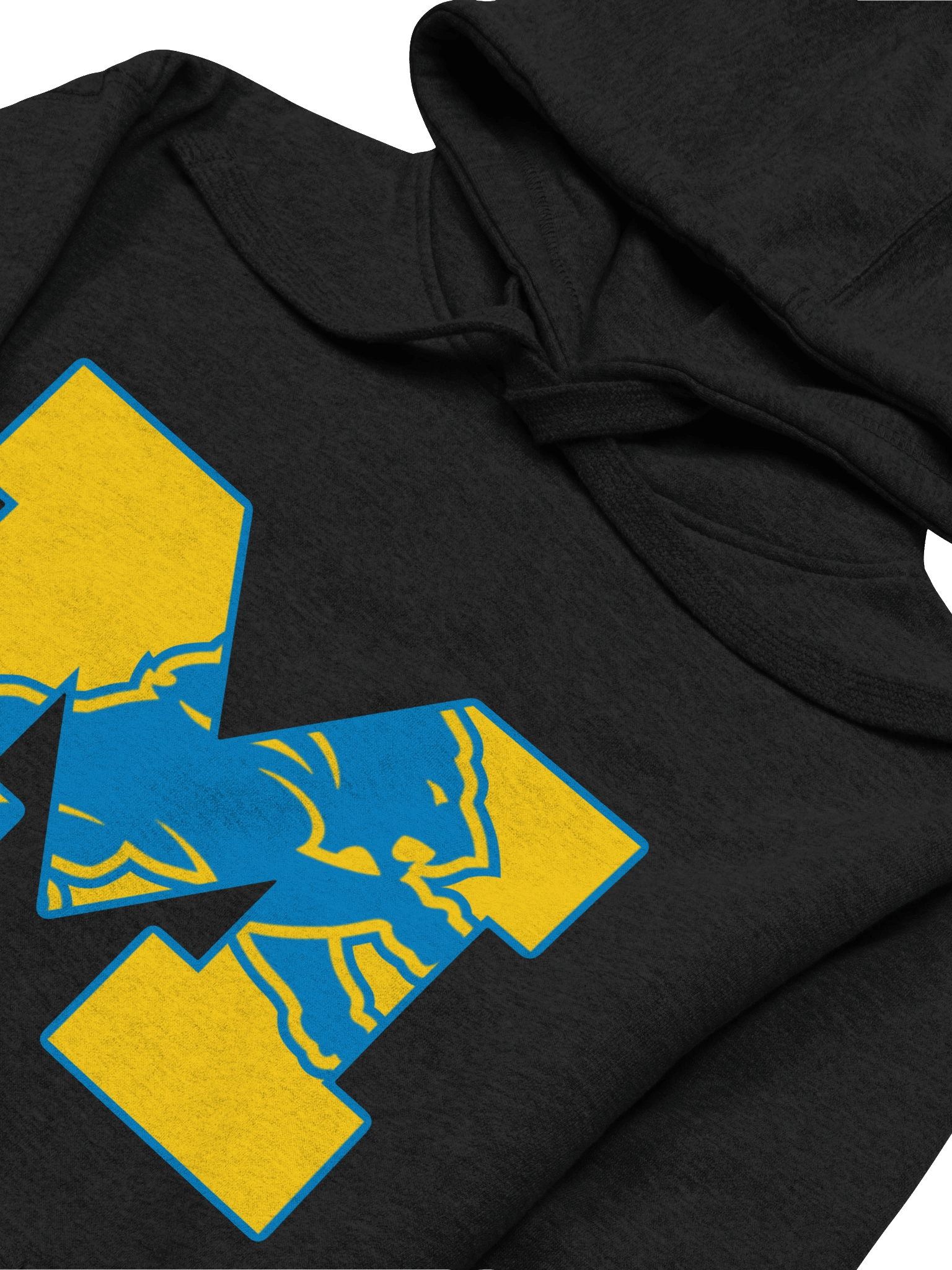 Michigan Lions Hoodie product image (8)