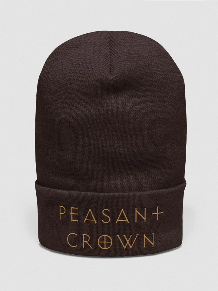 Diablo II Resurrected Peasant Crown (War Hat) product image (1)
