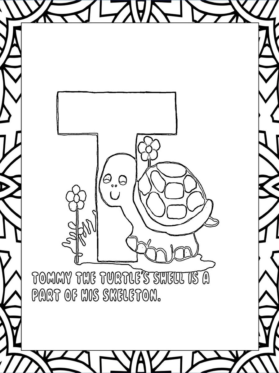 Fun Learning Animal ABCs product image (7)