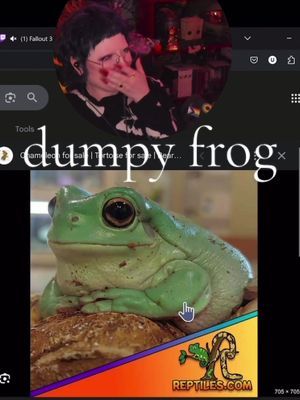 Spectacular gimme 14 of them right now #twitch #twitchstreamer #twitchmoments #twitchclips #frog #frogs #frogtok 