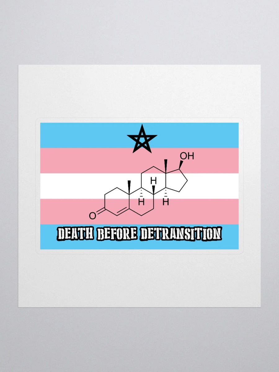 Death Before Detransition (testosterone, sticker edition) product image (1)