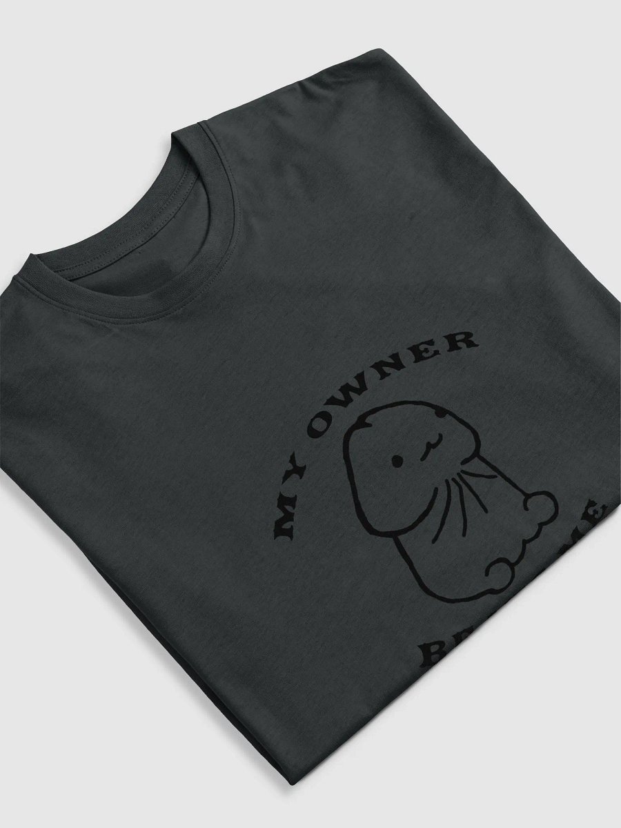 MY OWNER BEATS ME T SHIRT product image (5)