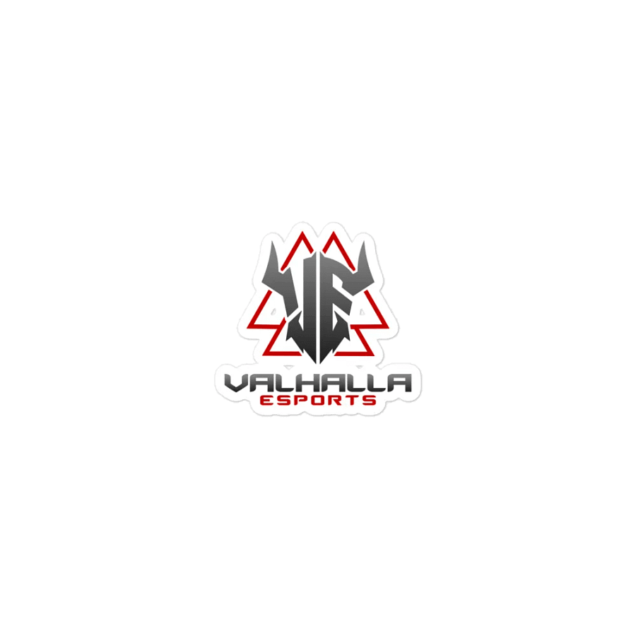 VE Magnet product image (1)