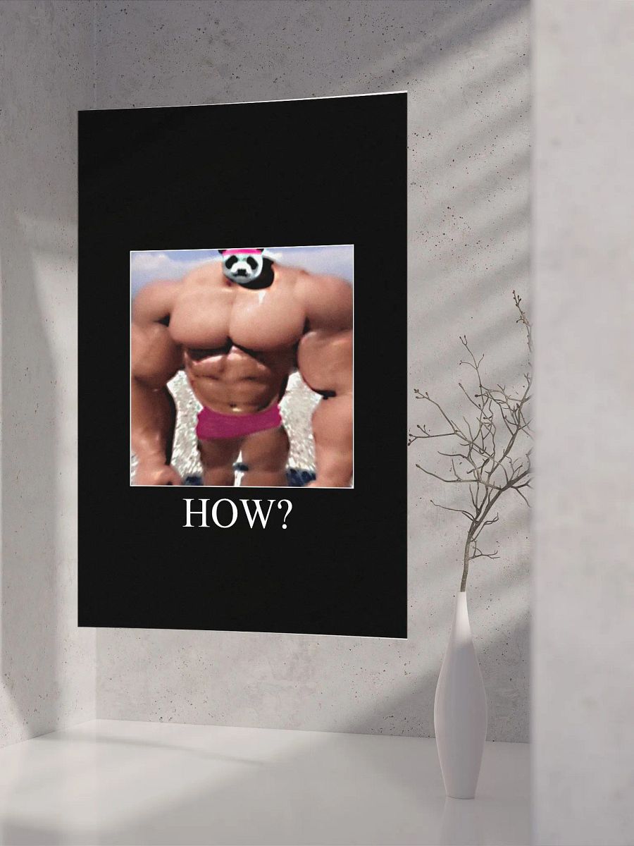 Peak Performance Meme Poster! product image (8)