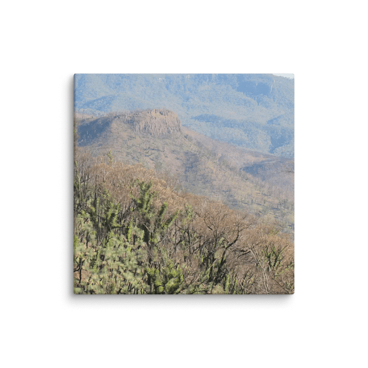 Historic Coonabarabran NSW Fire Canvas product image (1)