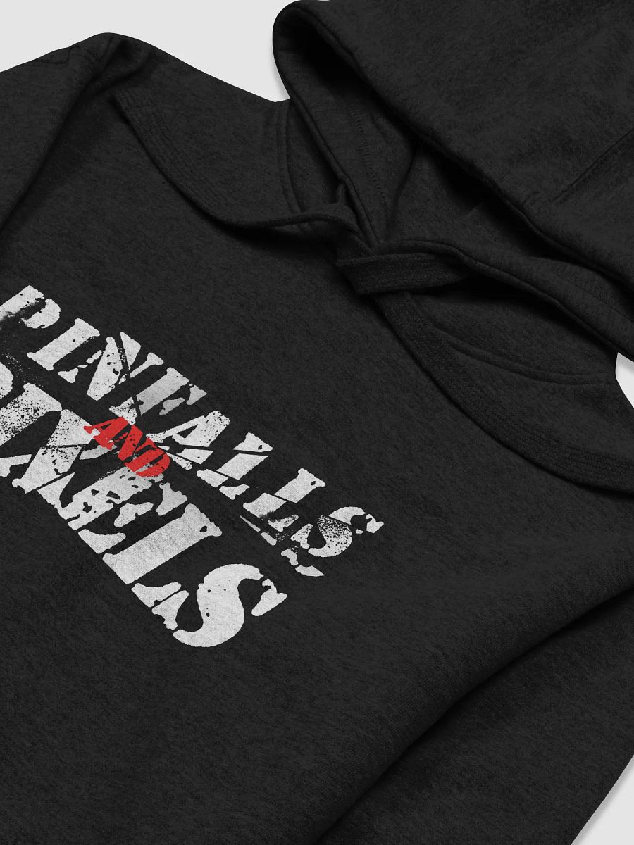 Pinfalls And Pixels Logo Hoody product image (3)