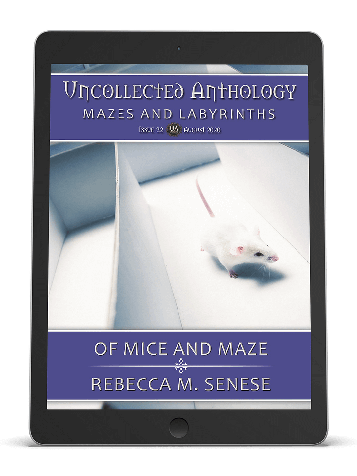 Of Mice and Maze product image (1)