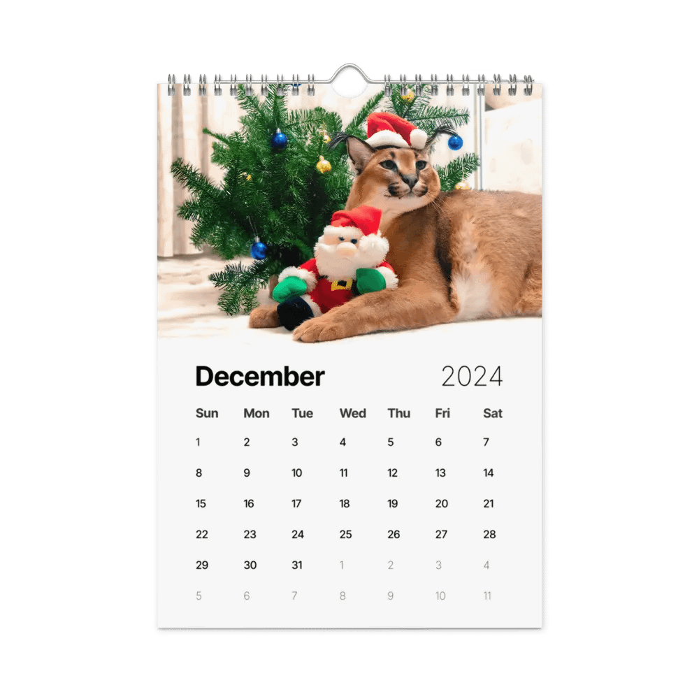 FLOPPA CALENDAR FOR 2024 product image (4)