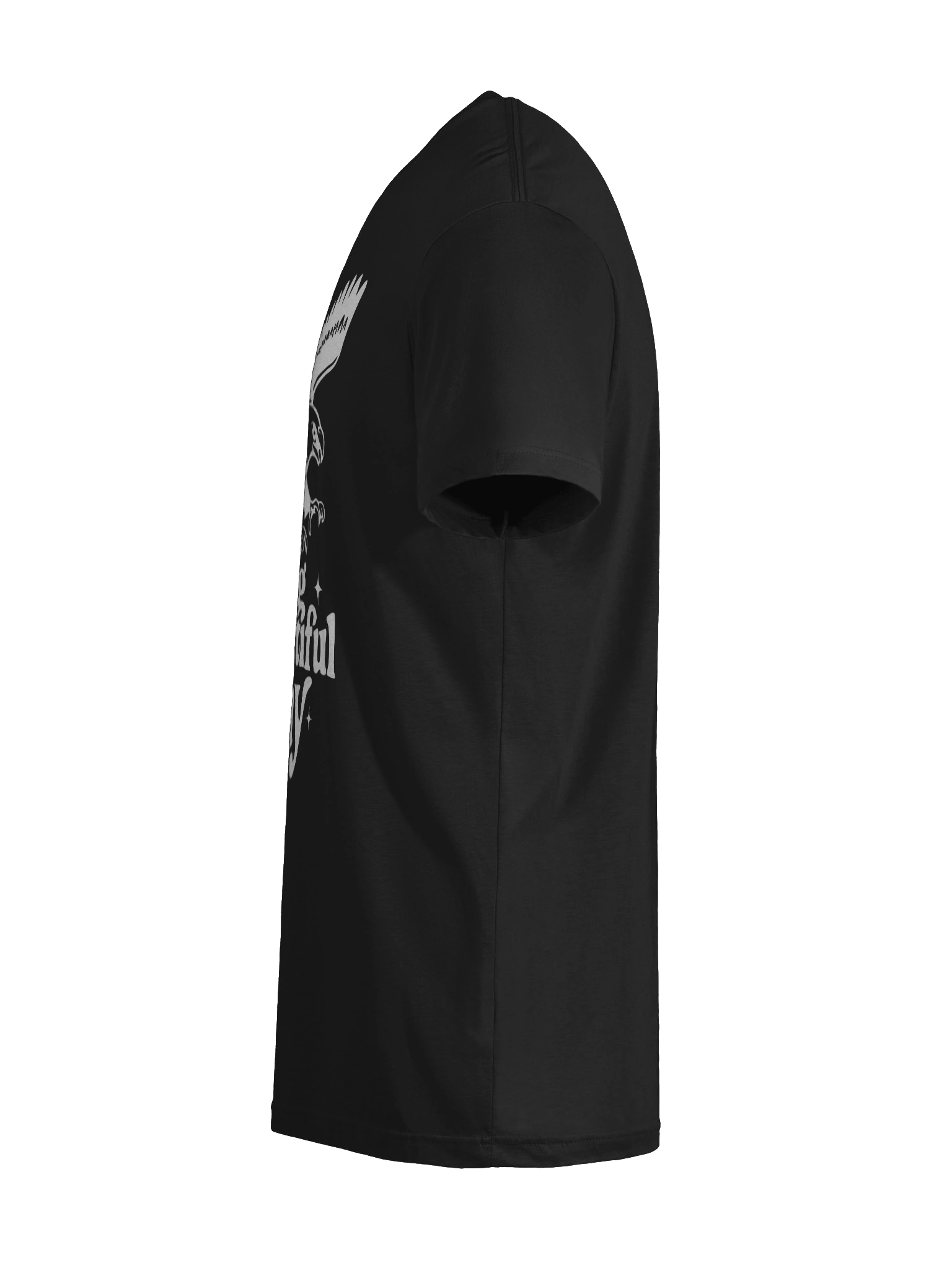 Soaring Big Beautiful Day Tee | Brand Next Level product image (12)