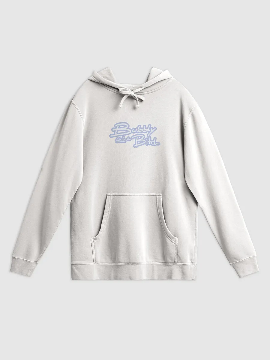 Bubbly and a B*tch (lined design, #BDCAEF) printed pigment hoodie product image (11)