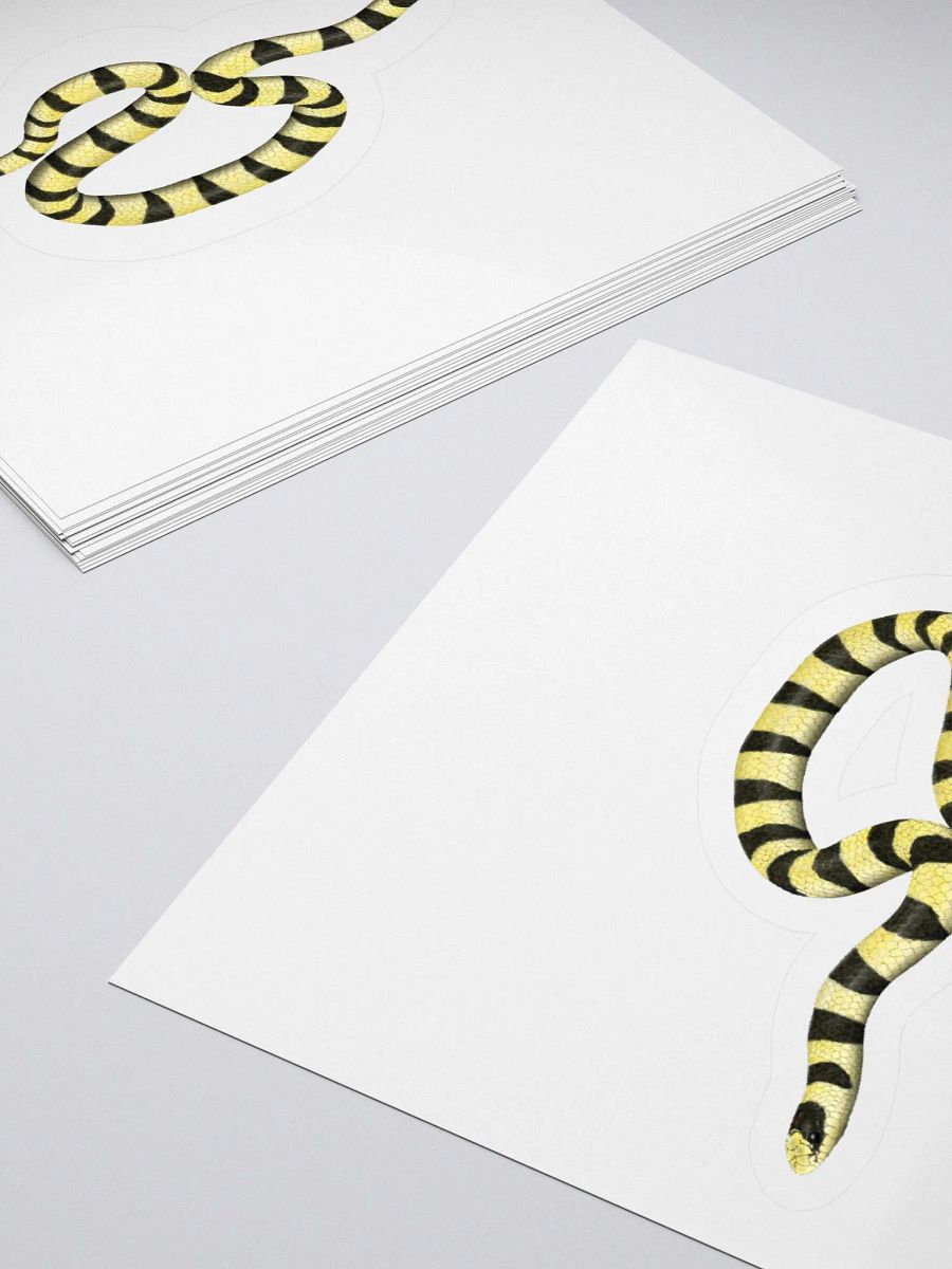 Die-Cut Sticker – Resplendent Shovelnosed Snake (Mohave Phase) product image (4)