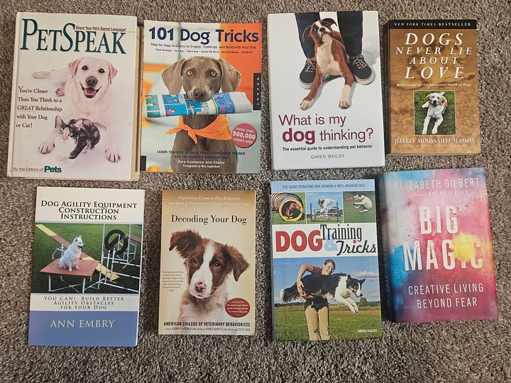 Dog Books and Big Magic product image (1)