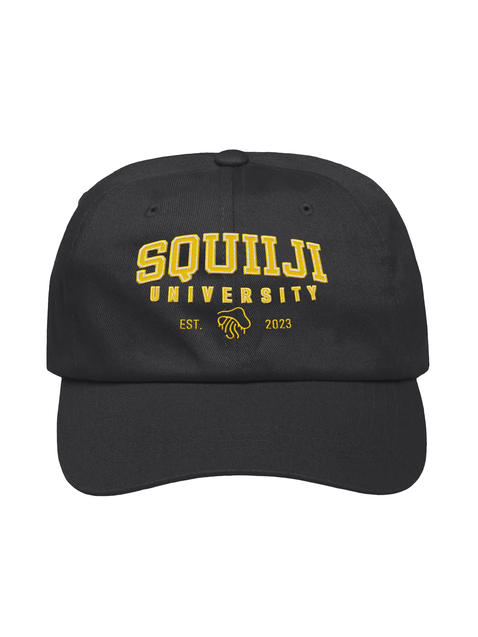 Squiiji University Ballcap product image (1)