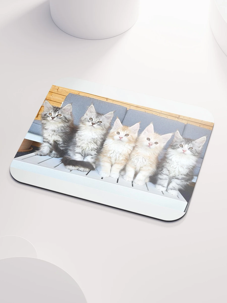 Maine Coon Kittens Mouse Pad product image (3)