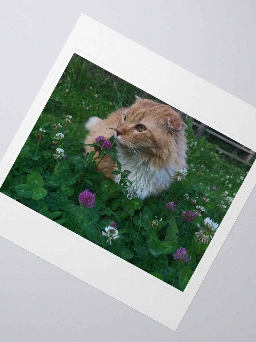 Clover Field Boy Sticker product image (2)