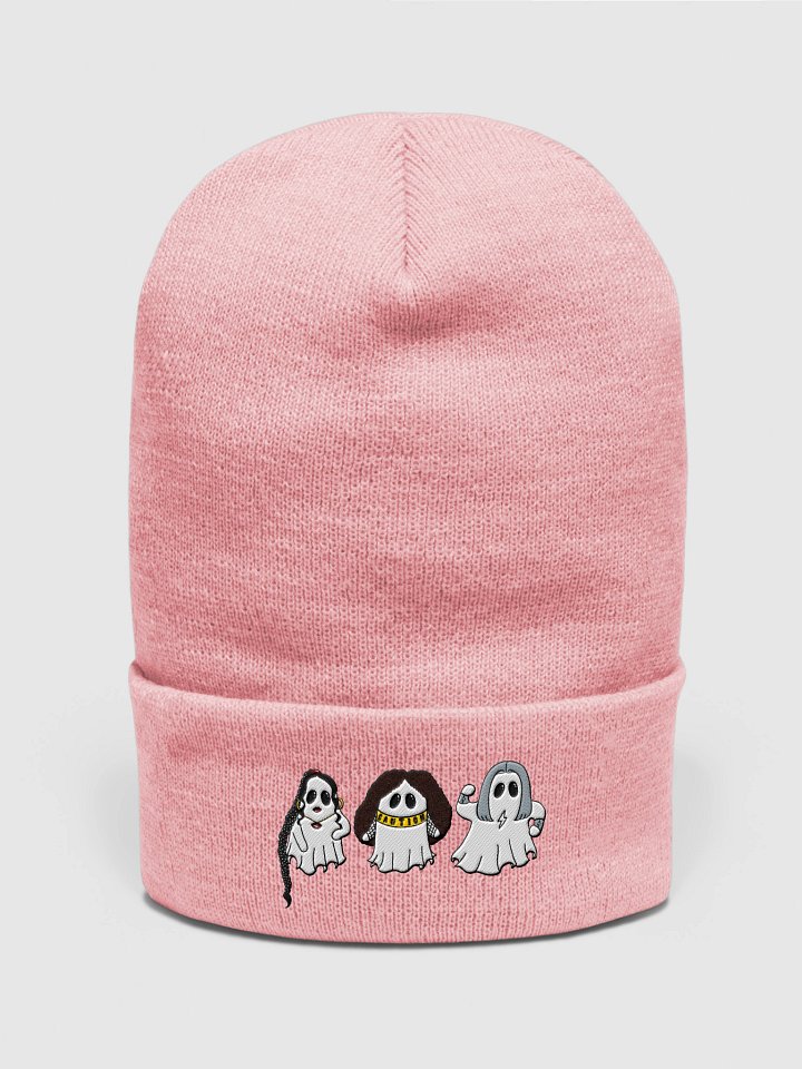The Big (Spooky) Three Embroidered Beanie product image (1)