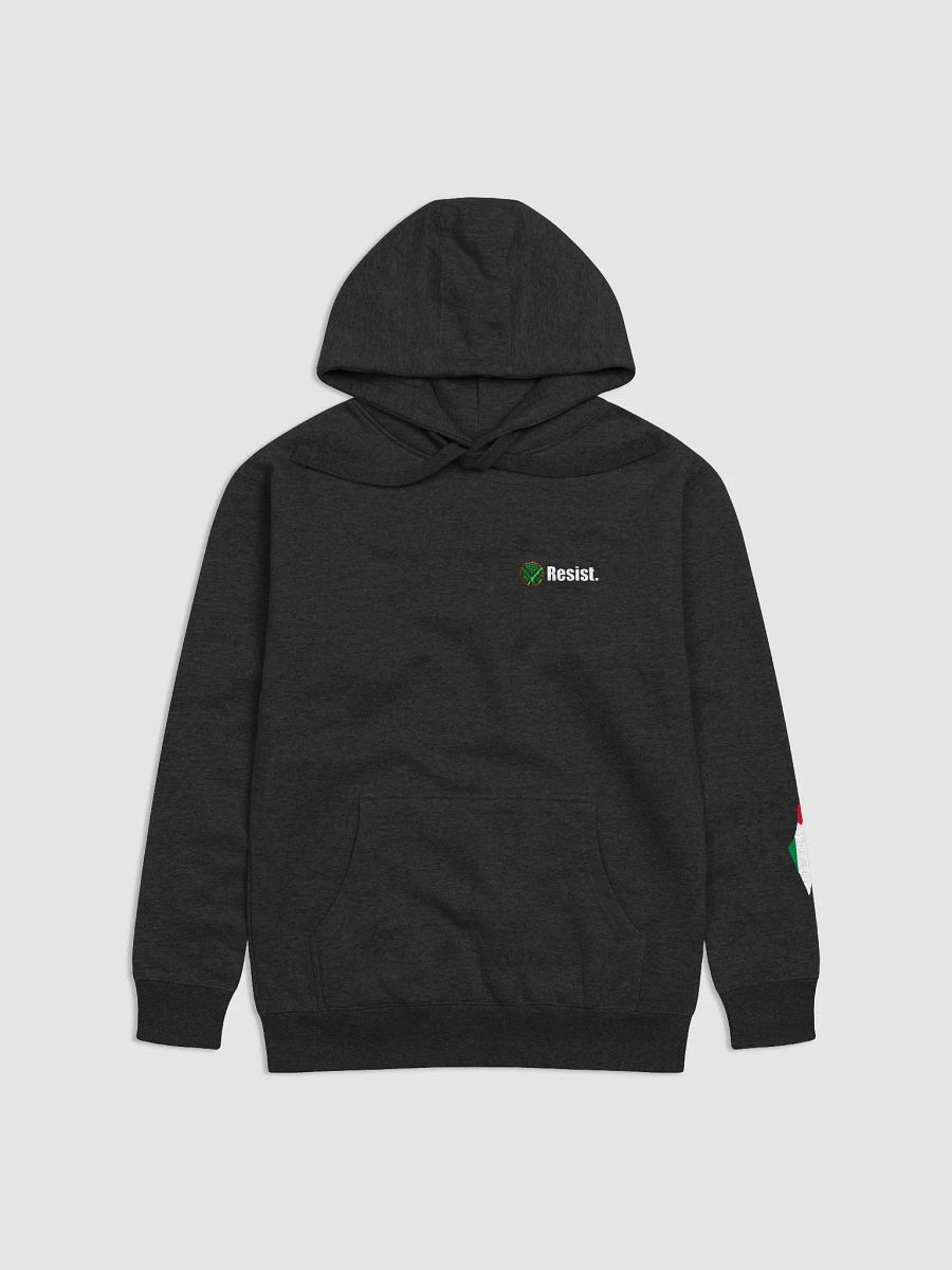 Resist Hoodie - Black product image (1)