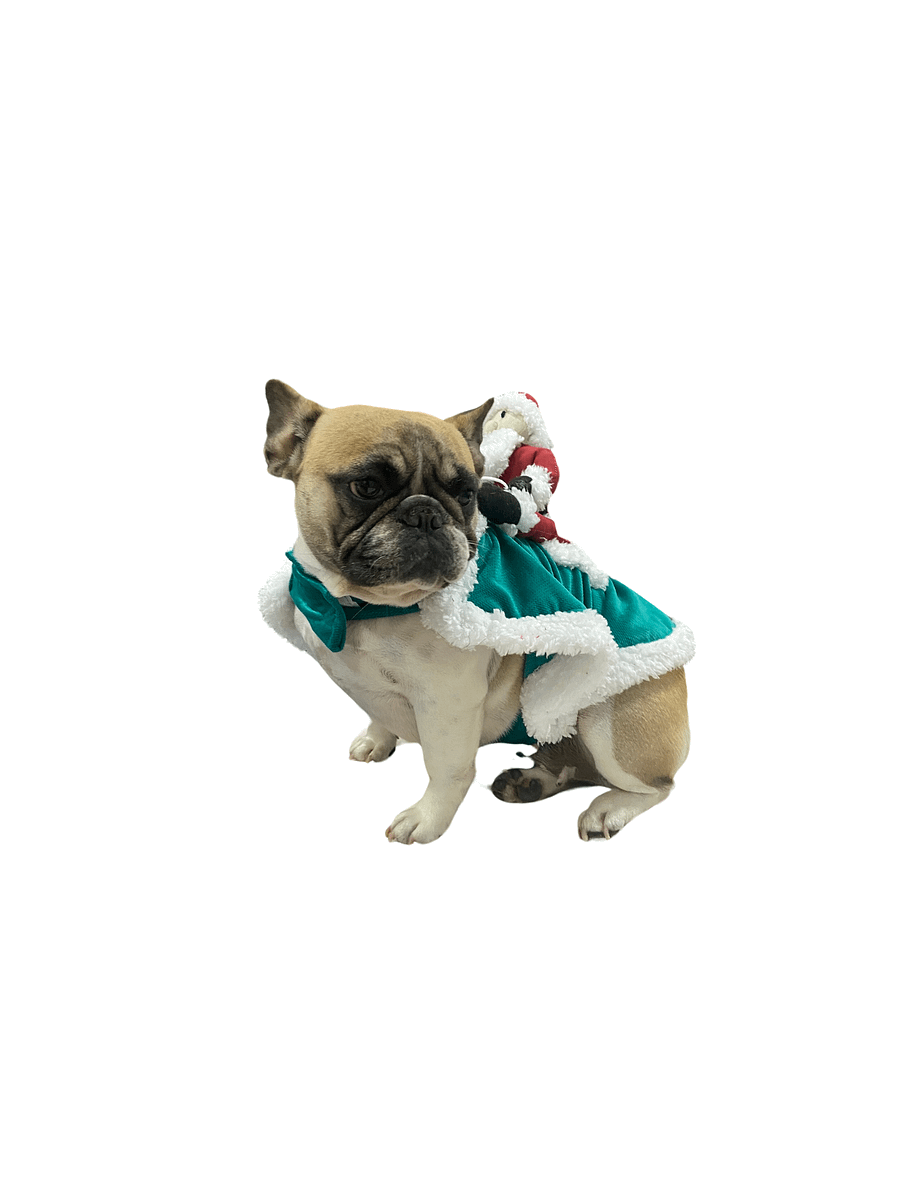 Fantasia Trenó Mágico - Modelagem Pet PDF product image (4)
