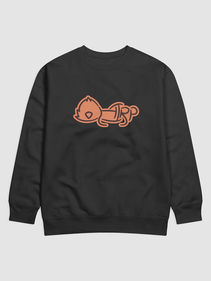 CH2RP Sweatshirt product image (1)